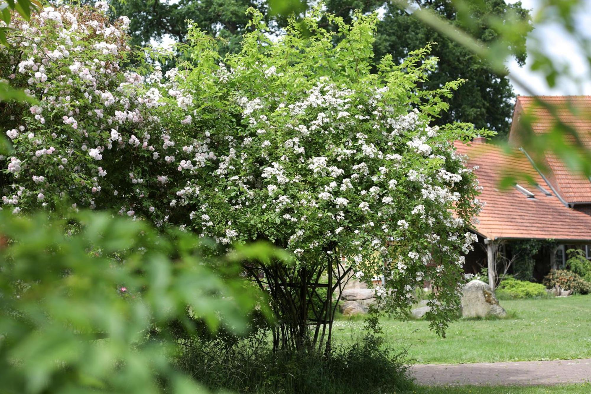 Отель Sophienhof Achternholt Wardenburg Экстерьер фото